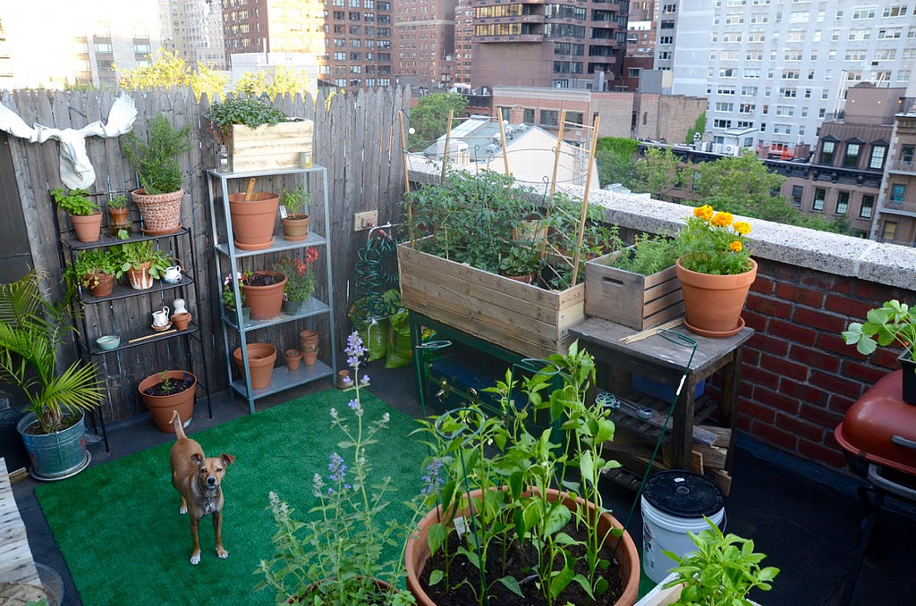 rijk Mam toonhoogte Maak van je balkon een (mini)tuin - Tuinweb