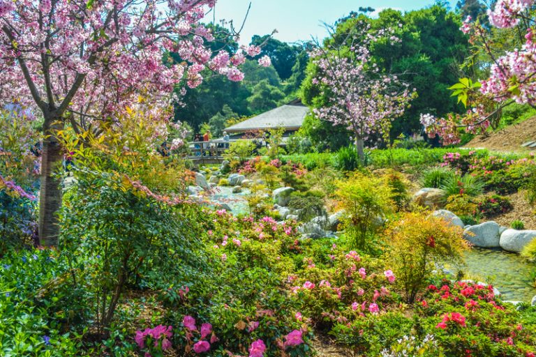 Een grote tuin inrichten 5 tips Tuinweb